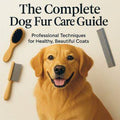 Dog Grooming Guide: Veterinary-Approved Fur Care (Digital Download PDF)