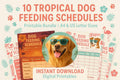 Tropical Dog Feeding Schedule: Pet Tracker, A4 & US Letter (PDF Download)