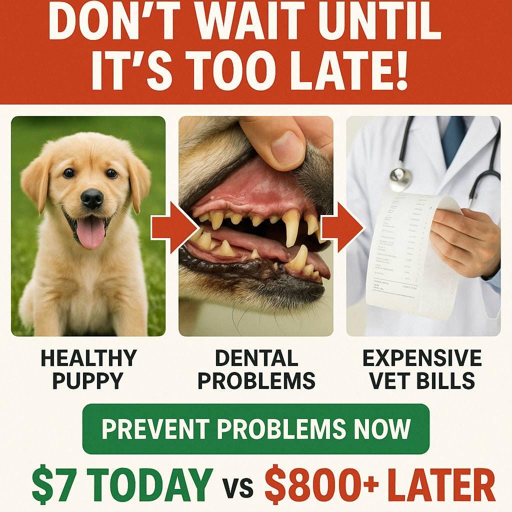 Dog Dental Care Guide: Vet-Approved Teeth Cleaning, DIY Recipes (PDF Download)